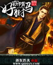 窃隋好驸马封面