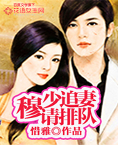 穆少追妻请排队封面