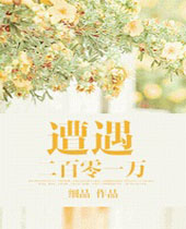 遭遇二百零一万封面