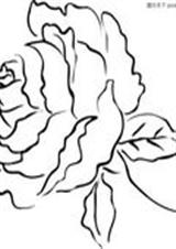 ��Ů����:õ��֮��