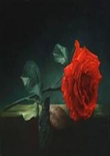 ս����������¼����