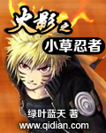 火影之小草忍者封面
