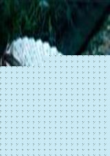 ���+����