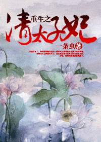 重生之清太子妃封面