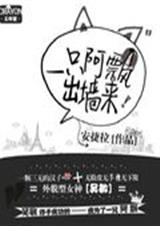 һֻ��Ʈ��ǽ��