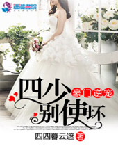 豪门逆宠四少别使坏封面