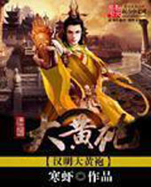 汉明大黄袍封面