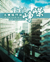 重生之峥嵘封面