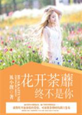 花开荼蘼终不是你封面