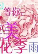 只为等你:唯美花季雨封面