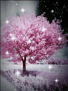 吸血鬼男仆封面