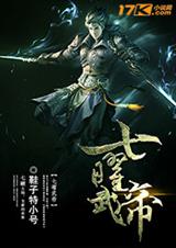 七曜武帝封面