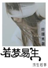 若梦易生封面