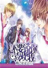 ��Ҫ˵��ϲ����