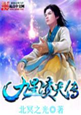 九星凌天传封面