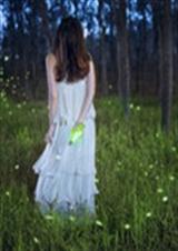 �Ժ�У��vs����У��