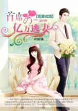 �԰��ɻ�:��ϯ����������