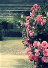 EXO֮�����Ҵ�����������