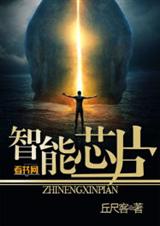 ����оƬ����