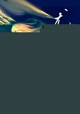 �ȶ�������������