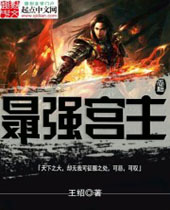 ��ǿ����