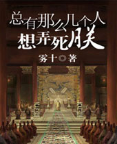 总有那么几个人想弄死朕封面