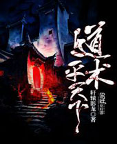 道术平天下封面