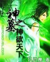 神墓之神欲天下封面