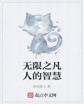 无限之凡人的智慧封面