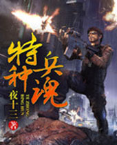 特种兵魂封面