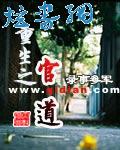 重生之官道封面
