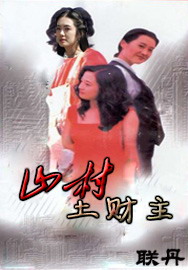 ɽ������������