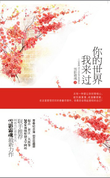 你的世界我来过封面