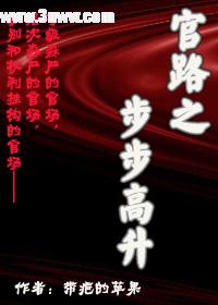 官路之步步高升封面