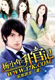 杨小年升官记封面