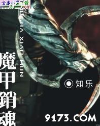 ħ���������