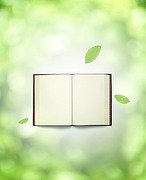 ��С�����ջ� ��÷����