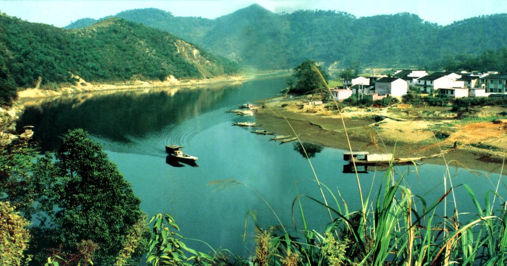 童年的最后一个夏天封面