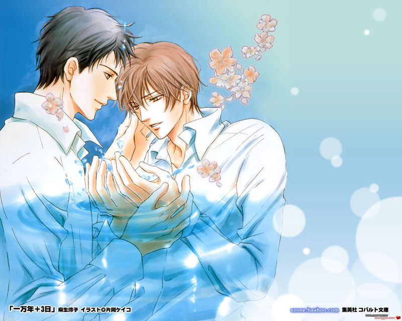 双程之无处可寻封面