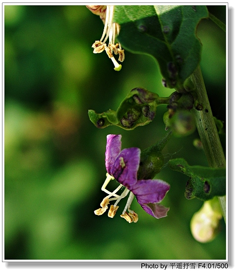 һ�ûῪ����������