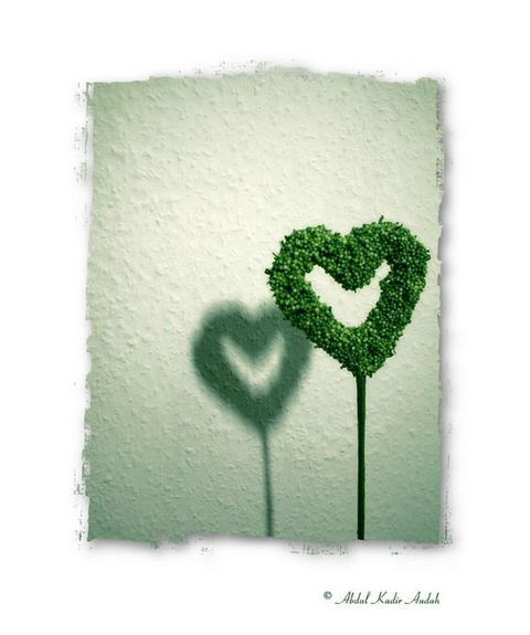 错过了你,我又遇见了谁封面