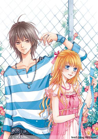 ������ʹ�ƻ���