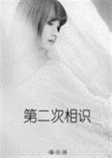 第二次相识封面