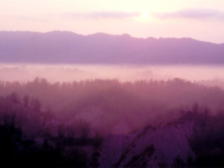 触不到的弦封面