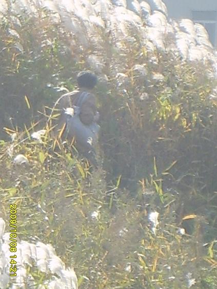 �������ϵ�С��