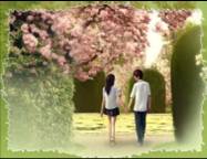 ����ͼʽ����: Ѫ֮�����