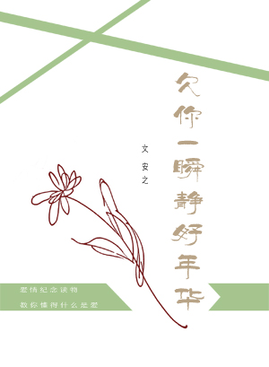 欠你一瞬静好年华封面
