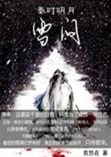 ��ʱ����֮ѩ��