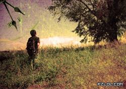 ���ɱ���