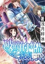 破碎的水晶之裂痕封面